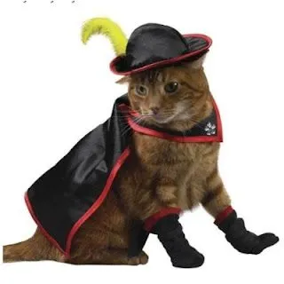 imagenes de gatos con disfraz - Imagenes divertidas - imagenes ... imagenes de gatos con disfraz - Imagenes divertidas - imagenes ...