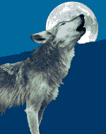 Imagenes Gif Animados - lobo-Wolf-03 - Powered by recursosgratis.com ... Imagenes Gif Animados - lobo-Wolf-03 - Powered by recursosgratis.com ...