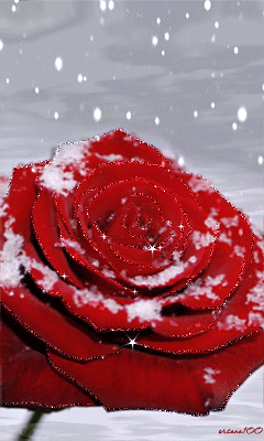 Imagenes gif para celular de amor - Imagui