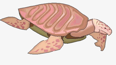 Imágenes GIF de dinosaurios marinos prehistóricos