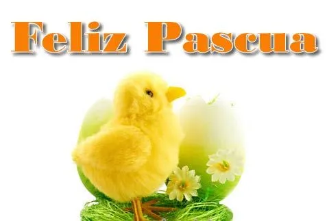 Imágenes de Pollitos de Pascua: las mejores imágenes de Pollitos ...