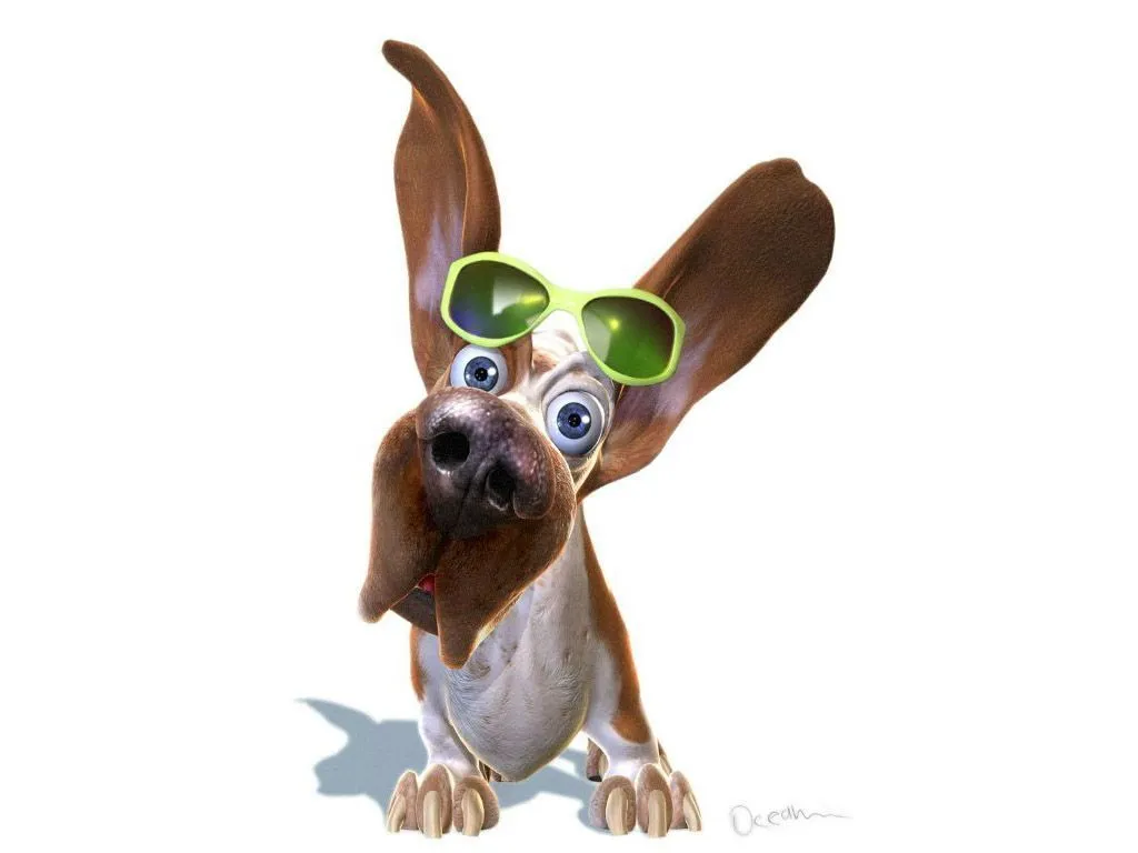 Imagenes, gifs y fotos divertidas de perros | El gallinero Imagenes, gifs y fotos divertidas de perros | El gallinero