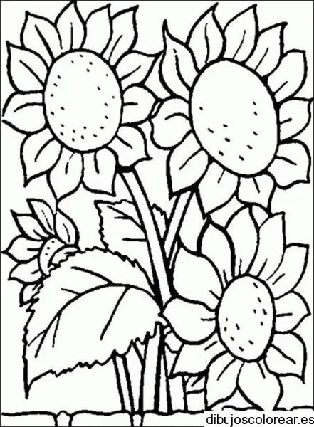 Imágenes de girasoles para colorear animados - Imagui Imágenes de girasoles para colorear animados - Imagui