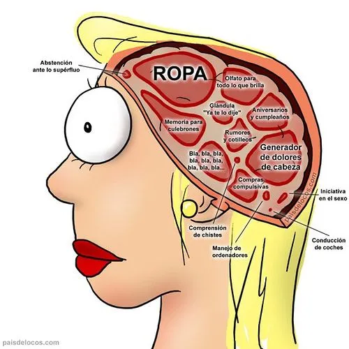 imagenes graciosas 32 - Cerebro de una mujer | MundoChistoso.Com ... imagenes graciosas 32 - Cerebro de una mujer | MundoChistoso.Com ...