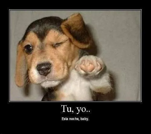 Imagenes graciosas de amor | Imagenes tiernas