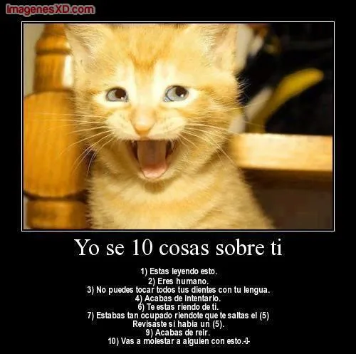 Cosas graciosas para compartir en FaceBook - Imagui Cosas graciosas para compartir en FaceBook - Imagui