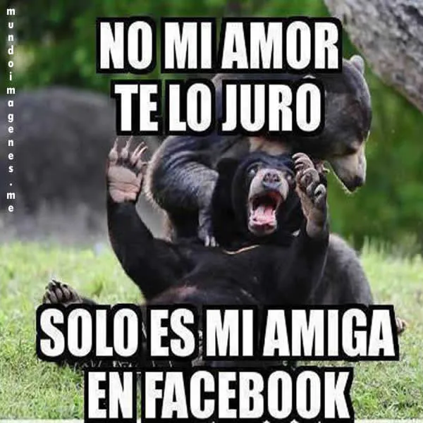 Imagenes Graciosas De Animales En Facebook - Mundo Imagenes Frases ...
