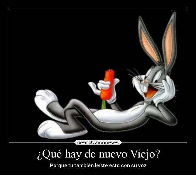 Imagenes graciosas de bos bony con frases - Imagui