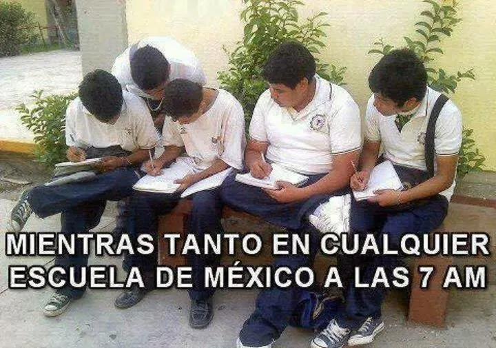 Imagenes graciosas y chistosas|fotos y fondos| | Descargar ...