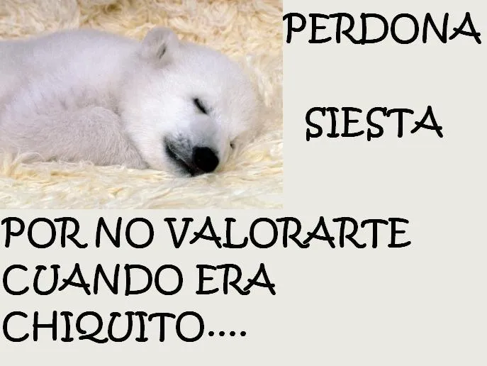 imagenes graciosas para compartir en facebook gratis | imagenes y ...