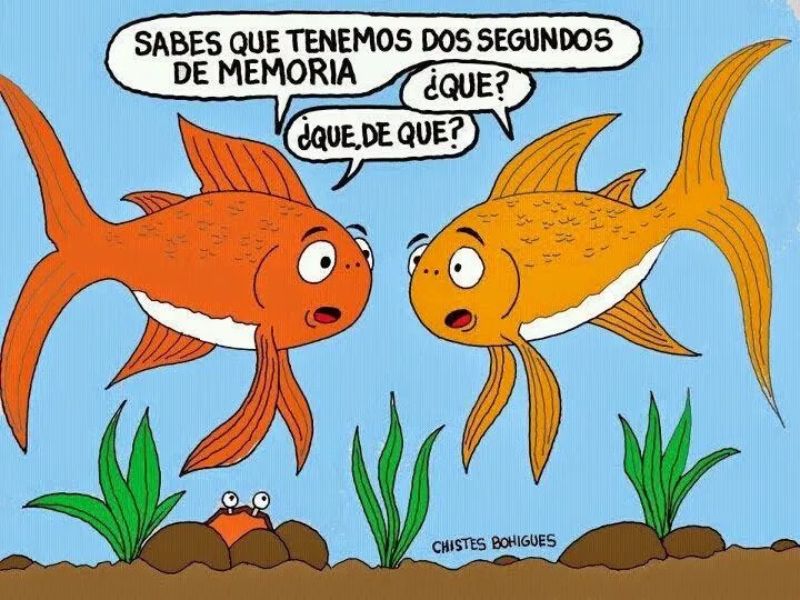 imagenes graciosas , divertidas , chistes , tarjetas chistosas ...