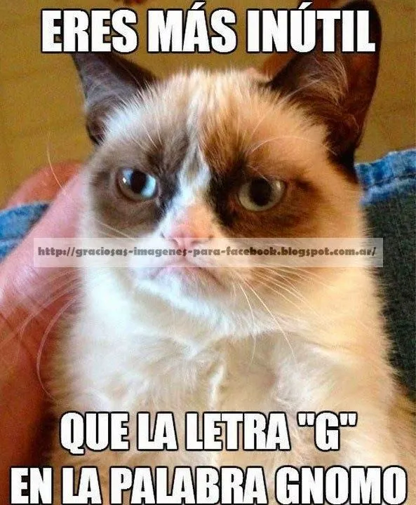 Imagenes Graciosas y muy divertidas | Graciosas Imagenes Para ... Imagenes Graciosas y muy divertidas | Graciosas Imagenes Para ...