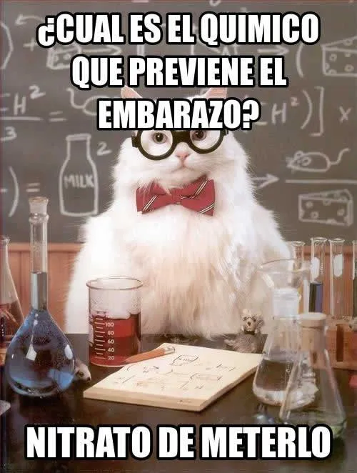 Imagenes Graciosas De Embarazadas Para Compartir - Mundo Imagenes ... Imagenes Graciosas De Embarazadas Para Compartir - Mundo Imagenes ...