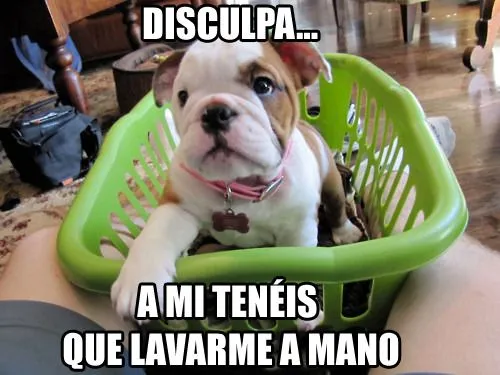 Imagenes Graciosas + Ilusiones Ópticas - Taringa!