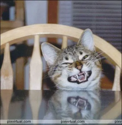 imagenes graciosas... - Taringa!