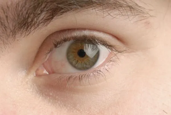 Imágenes gratis de prod03,cara,rostro,persona,hombre,ojo,ojos,verde,v