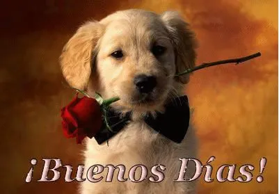 Jorge on Twitter: "@veropliego Mi niña hermosa que tengas buen día ... Jorge on Twitter: "@veropliego Mi niña hermosa que tengas buen día ...