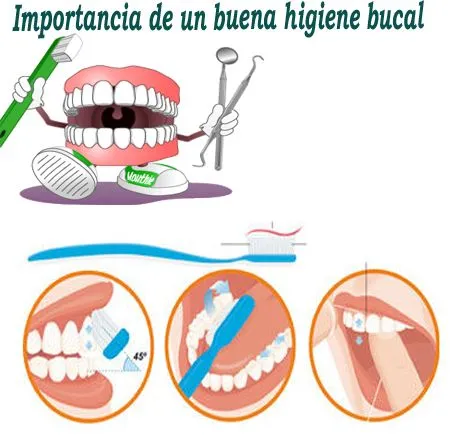 IMÁGENES SOBRE HIGIENE BUCAL - Imagui