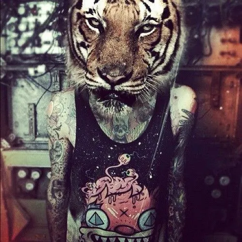 Imagenes hipster tumblr animales - Imagui