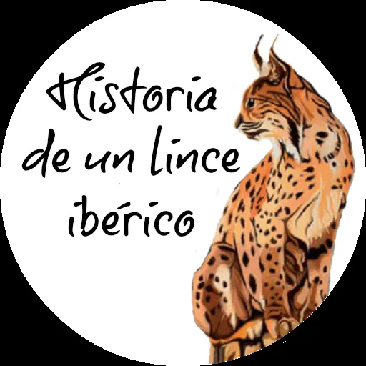 Imágenes | Historia De Un Lince Ibérico
