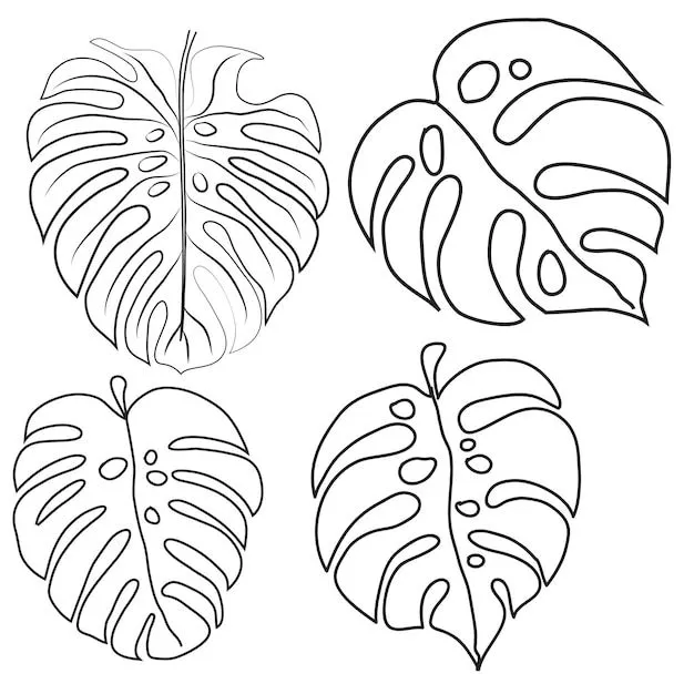 Imágenes de Hoja Para Colorear - Descarga gratuita en Freepik Imágenes de Hoja Para Colorear - Descarga gratuita en Freepik