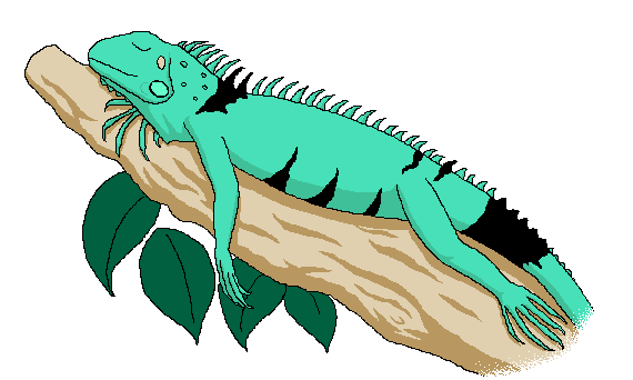 Iguana dibujos animados - Imagui