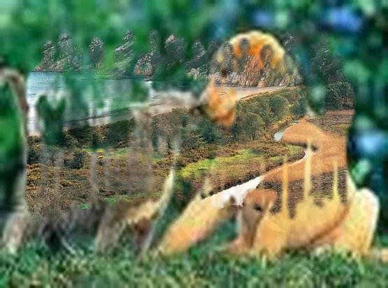 Imagenes: Imagenes astractas