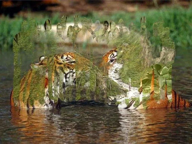 Imagenes: Imagenes astractas