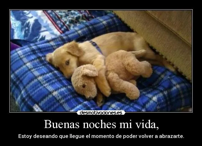 Buenas noches mi vida, | Desmotivaciones