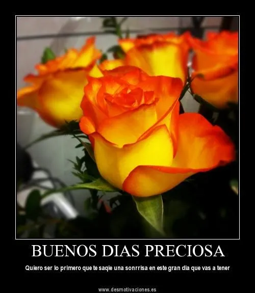 Imagenes • Imagenes de buenos dias preciosa