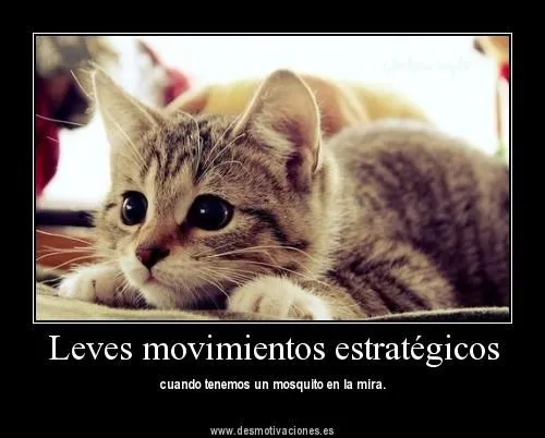 Imágenes inteligentes con frases - Imagui