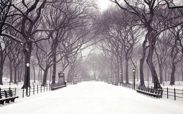Imágenes de invierno para fondos de pantalla - Imagui Imágenes de invierno para fondos de pantalla - Imagui