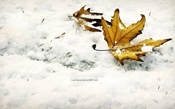 Imágenes de invierno para fondos de pantalla - Imagui Imágenes de invierno para fondos de pantalla - Imagui