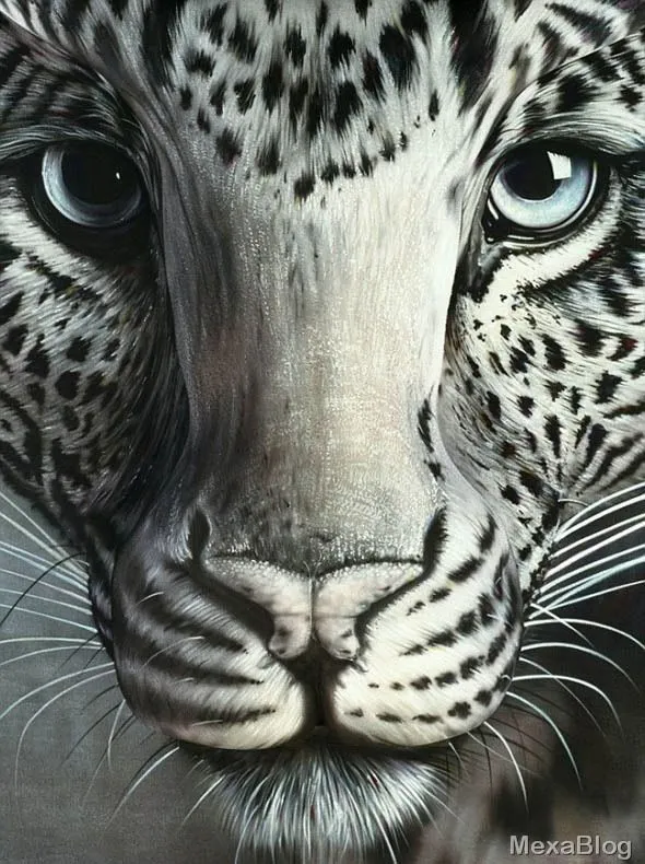 imagenes de jaguar para dibujar - Buscar con Google | imagenes ...