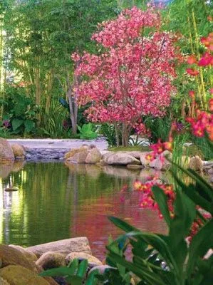 Imágenes De Jardines Orientales.