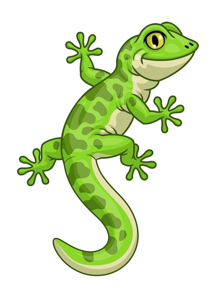 Imágenes de Lagarto dibujos animados - Descarga gratuita en Freepik