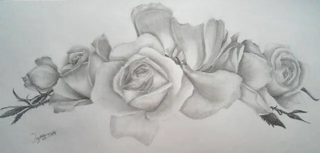 Galeria de fotos de rosas hechas a lapiz - Imagui