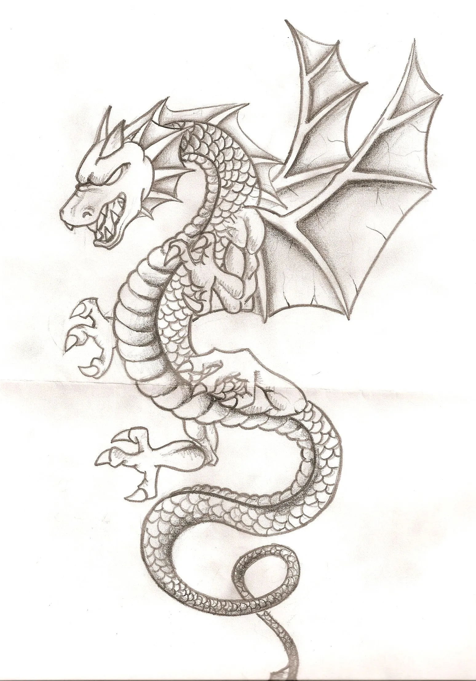 Dragones en dibujos a lápiz - Imagui