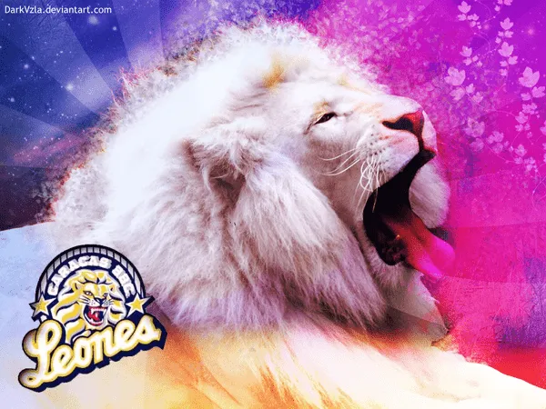 imagenes nuevas leones del caracas - IMG MLP