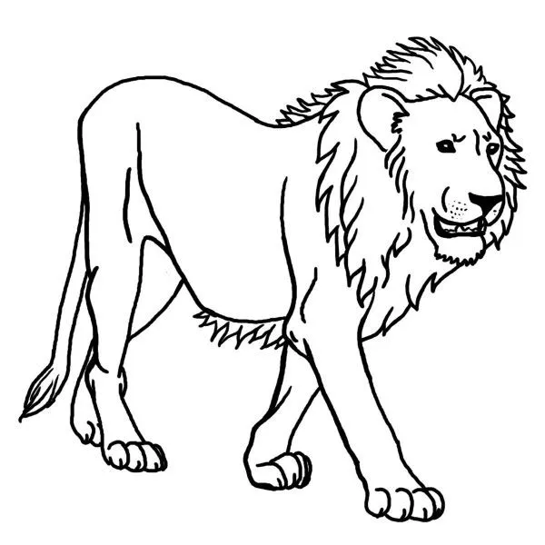 Imágenes de Leones para colorear | Colorear imágenes Imágenes de Leones para colorear | Colorear imágenes