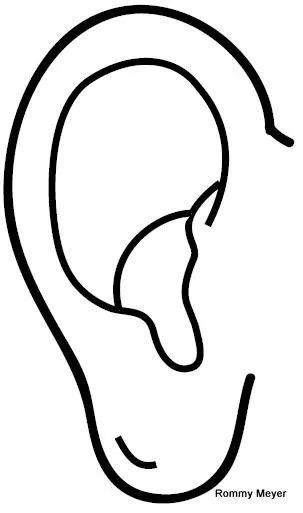 Imágenes letra M-N – O | Wchaverri's Blog