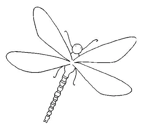 Moldes de libelulas para pintar - Imagui