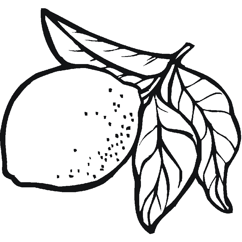 IMAGENES DE LIMONES PARA COLOREAR - Imagui