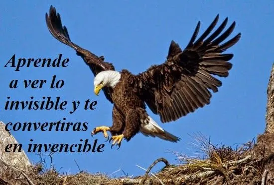 Imagenes Lindas Para Compartir Fb: Aguilas Con Frases De ... Imagenes Lindas Para Compartir Fb: Aguilas Con Frases De ...