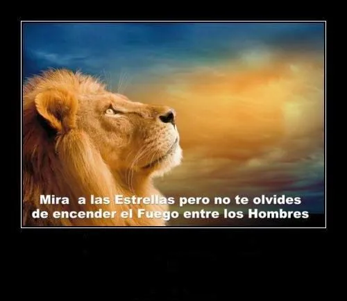 Imagenes Lindas Para Compartir Fb: Imagenes De Leones Con Frases ... Imagenes Lindas Para Compartir Fb: Imagenes De Leones Con Frases ...