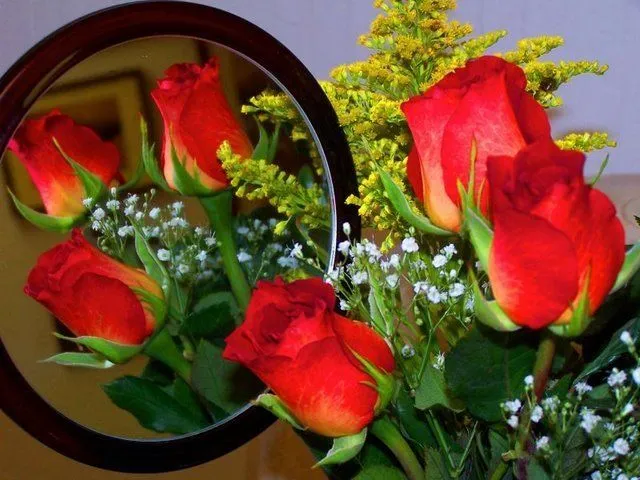 Imágenes lindas de flores - Imagui