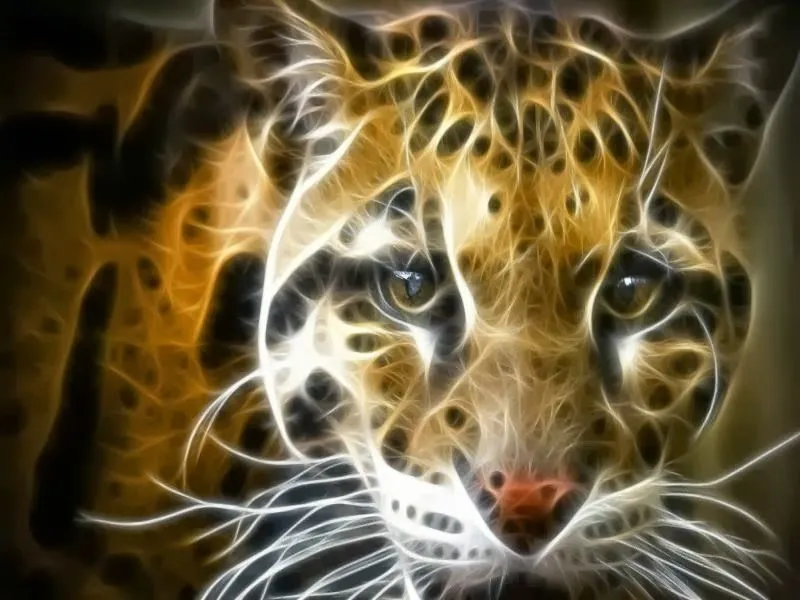 Imagenes lindas: Imagenes lindas para fondo de escritorio en HD Imagenes lindas: Imagenes lindas para fondo de escritorio en HD