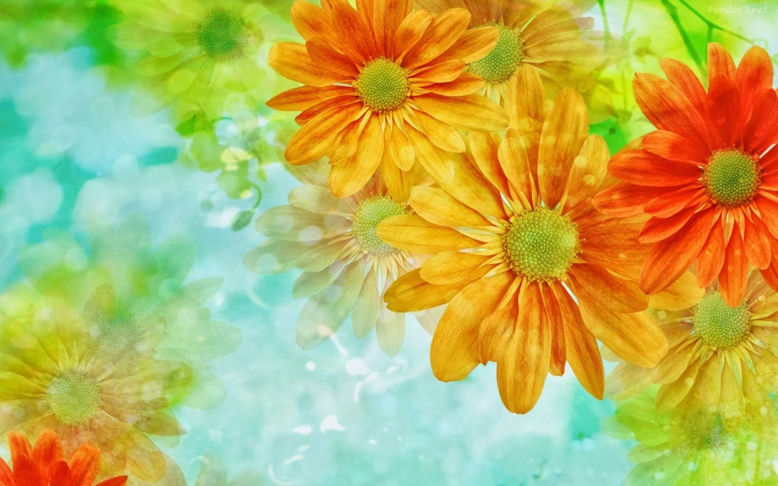 Imagenes lindas: Imagenes lindas para fondo de pantalla