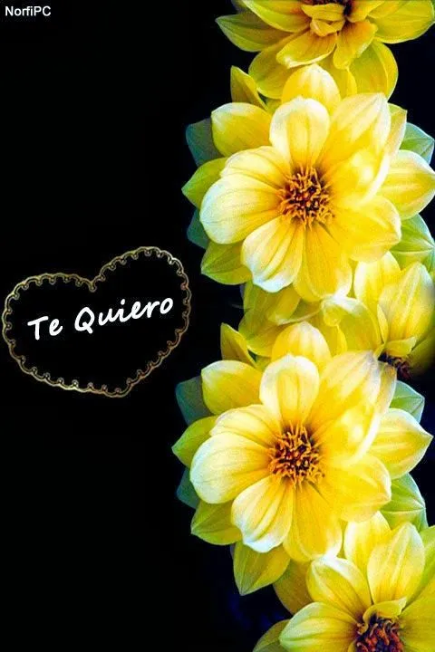 Imagen lindas para fondo de pantalla - Imagui