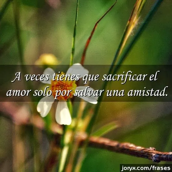 Imagenes lindas: Imagenes lindas para fondo de pantalla con frases Imagenes lindas: Imagenes lindas para fondo de pantalla con frases